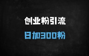 ﻿2025最新暴力引流技术：日引300+精准创业粉的私域转化秘籍（附多平台实操）
