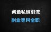 ﻿闲鱼副业赚钱攻略：零成本引流创业粉，月入过万实操指南（新手必看）