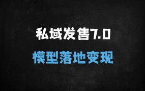 ﻿2025私域发售大师班7.0：从底层逻辑到8大模型，手把手教你实现可复制的私域变现闭环