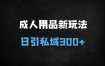 ﻿成人用品日引300+私域秘籍：文字视频+图文双玩法，安全导流高转化实战指南