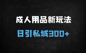﻿成人用品日引300+私域秘籍：文字视频+图文双玩法，安全导流高转化实战指南