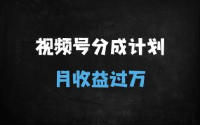 ﻿视频号搬运老外奇葩视频，蓝海赛道日入1000+，新手1小时上手轻松月入过万