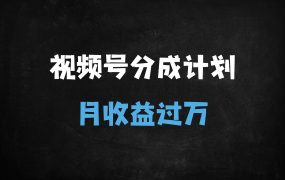 视频号搬运老外奇葩视频,蓝海赛道日入1000+,新手1小时上手轻松月入过万
