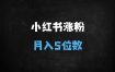 ﻿小红书素人引流实操秘籍：3种安全玩法日引500+兼职粉，月入过万攻略