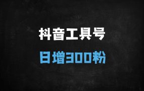 ﻿实战派抖音创业粉引流秘籍：虚拟号日涨4000+精准粉的6大核心步骤