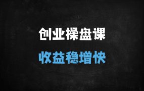 ﻿2025创业实战操盘系统必修课：20年经验提炼，手把手带你从0到1打造盈利模式