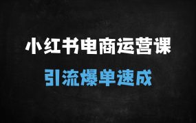 小红书电商运营实战指南:从0到1精准引流与爆单技巧(2025最新版)