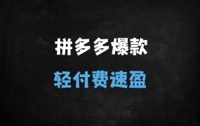 ﻿2025拼多多高阶运营实战指南：轻付费爆款打造+群爆款矩阵复制【2月新策略】