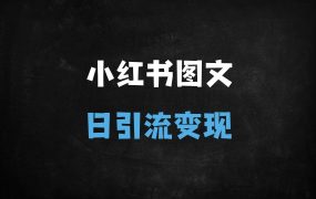 ﻿AI工具DeepSeek实战：小红书图文批量生成秘籍，日引流300+创业粉变现教程