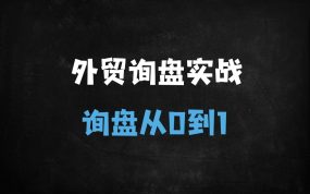 ﻿外贸询盘从0到1暴增指南：独立站搭建+B2B平台选择+社媒营销实战（附23节避坑秘籍）