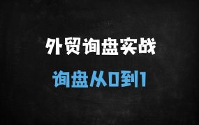 ﻿外贸询盘从0到1暴增指南：独立站搭建+B2B平台选择+社媒营销实战（附23节避坑秘籍）