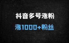 ﻿抖音快速涨1000+粉丝的实战指南：低门槛操作与多账号矩阵玩法（附避坑指南）