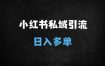 2025小红书DeepSeek引流变现全攻略：3天起号+单日破千实操手册