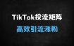 2025最新TikTok投流矩阵系统实战课程：从0到1掌握广告变现与店群运营秘籍