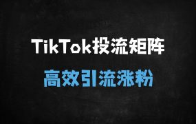 ﻿2025最新TikTok投流矩阵系统实战课程：从0到1掌握广告变现与店群运营秘籍