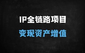 ﻿个人IP暴利变现：2025最新实战指南，3步打造月入10万+的流量密码