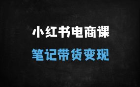 ﻿小红书电商运营全攻略：从0到1打造爆款笔记带货与店铺盈利秘籍