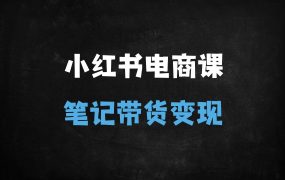 小红书电商运营全攻略:从0到1打造爆款笔记带货与店铺盈利秘籍