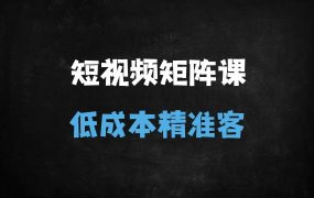 ﻿2025企业必学：AI短视频矩阵营销SEO实战课，低成本精准引流获客秘籍