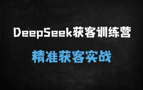 2025AI电商获客实战教程:DeepSeek从入门到精通,日引100+精准客户