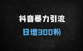 ﻿2025年抖音创业粉精准引流秘籍：单日300+粉丝的关键词优化与视频布局全攻略