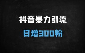 ﻿2025年抖音创业粉精准引流秘籍：单日300+粉丝的关键词优化与视频布局全攻略