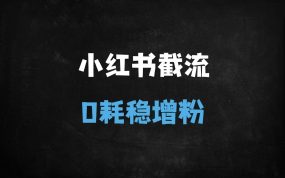 ﻿小红书零成本截流创业粉实战指南：最新安全引流技巧拆解