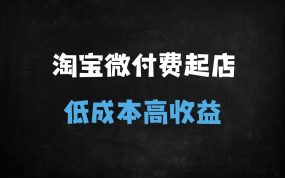 ﻿2025淘宝微付费起店实战指南：可复制的爆款打造全流程（附动销+人群搭建技巧）