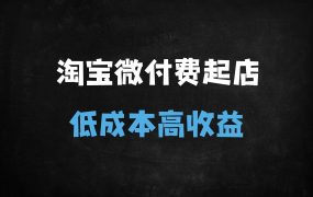 ﻿2025淘宝微付费起店实战指南：可复制的爆款打造全流程（附动销+人群搭建技巧）
