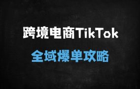 2025最新跨境电商独立站运营指南:TikTok+Facebook全域流量变现与黑五类商品实操教程