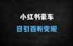 2025小红书创业粉引流实战：保姆级教程，日引100+精准流量，AI+矩阵玩法打造长效私域
