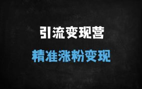 ﻿2025热点引流变现实战秘籍：泛粉+精准引流双管齐下，轻松月入过万（附抖音/小红书全攻略）