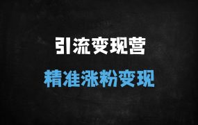 ﻿2025热点引流变现实战秘籍：泛粉+精准引流双管齐下，轻松月入过万（附抖音/小红书全攻略）
