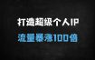 从0到1打造超级个人IP：定位到裂变的100倍营销势能实战指南