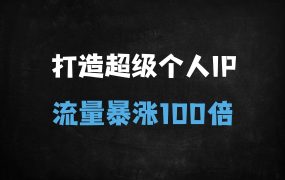 ﻿从0到1打造超级个人IP：定位到裂变的100倍营销势能实战指南