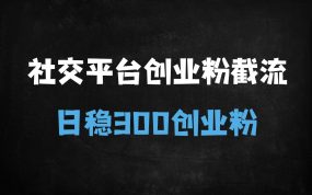 ﻿Soul暴力截流创业粉秘籍：日引流300+精准粉丝，新手必看的5大核心步骤