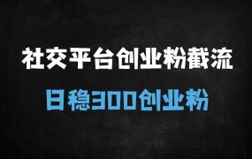 ﻿Soul暴力截流创业粉秘籍：日引流300+精准粉丝，新手必看的5大核心步骤
