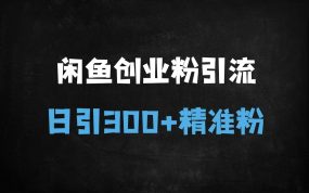 ﻿闲鱼创业粉引流实战指南：日引300+精准粉的4大核心技巧与变现攻略