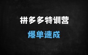 ﻿2025拼多多爆单实战指南：最新强付费玩法+全站推广系统课程（泓一导师亲授）