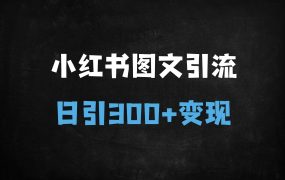 ﻿小红书日引300+精准粉！揭秘10大安全引流技巧，新手7天变现1W+（附完整课程）