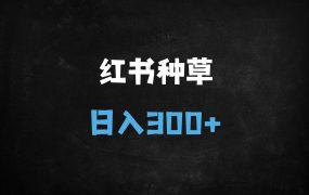 ﻿2025小红书种草新玩法！京东服务商合作，无脑复制日入300+（附完整教程）
