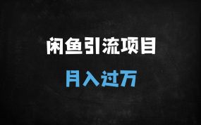 ﻿2025闲鱼引流爆单新玩法：日引300+精准创业粉，轻松月入过万