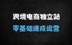 ﻿2025跨境电商独立站运营实战指南：从0到精通选品、建站、Facebook/TikTok全域流量变现
