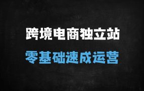 2025跨境电商独立站运营实战指南:从0到精通选品、建站、Facebook/TikTok全域流量变现