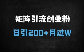 ﻿2025视频号创业粉引流矩阵玩法：日引300+精准流量，月入过万实操指南（附怀旧心理运用技巧）