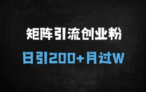 ﻿2025视频号创业粉引流矩阵玩法：日引300+精准流量，月入过万实操指南（附怀旧心理运用技巧）