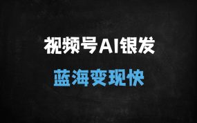 ﻿视频号中老年情感赛道：AI赋能蓝海市场，3小时日赚600+的变现秘籍
