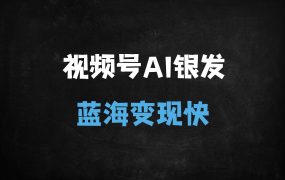 ﻿视频号中老年情感赛道：AI赋能蓝海市场，3小时日赚600+的变现秘籍
