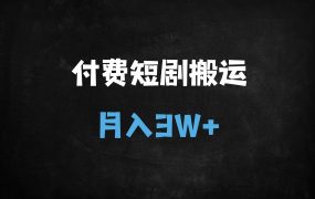 ﻿2025年短剧搬运实战指南：从选剧到变现的完整流程解析（附避坑指南）
