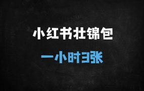 ﻿小红书蓝海赛道3.0：非遗壮锦包轻奢私域变现，1小时3单高客单价成交，保姆级教学